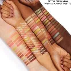 Gettin' Fresh 5 Gettin' Fresh -Outlet Beauty Store 6884114694226 Gettin Fresh EyePalette GettinFresh 3